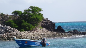 The hidden stash of lobsters, Tobago Cays.